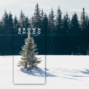 눈꽃이 핀 거리