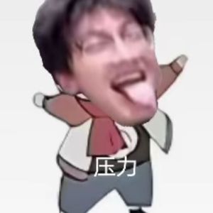 天上掉下个雷霆猪