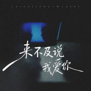 漫漫归途有星光