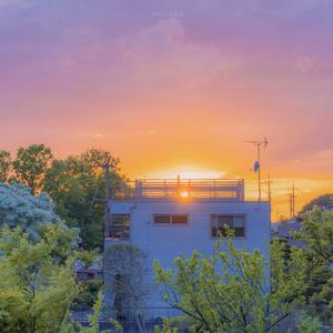 โคตรพิเศษ