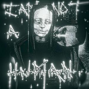 NO I'M NOT A HUMAN FUNK