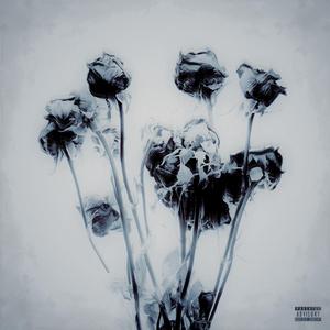 Ho Perso (feat. XEM)