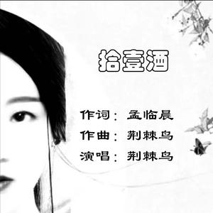 拾壹酒WAV