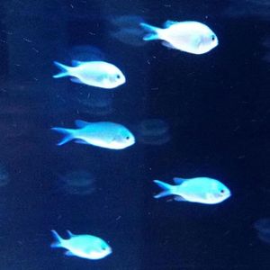 逃离(Prod MoonVibe Beatz)