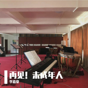 再见！未成年人