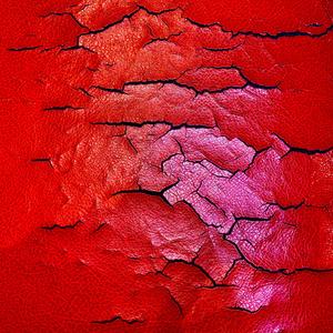 sun was shining in my mother’s yard