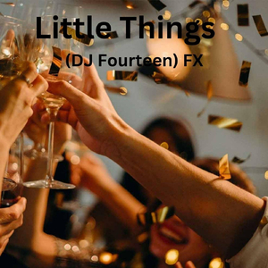 Little Things (DJ Fourteen) Fx