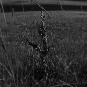 GreyScale (prod. Tothegood)