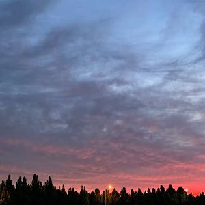 山谷传来的呼唤