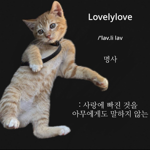 사랑에 빠진 것을 아무에게도 말하지 않는 (Prod. Wuno)