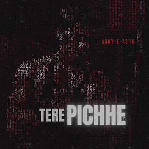 Tere Pichhe