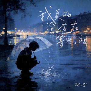 我真的没有在等电话