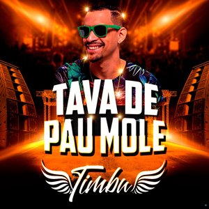 Tava de Pau Mole
