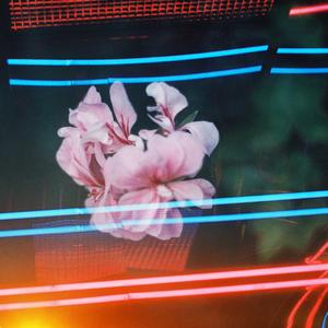 Beauty (feat. Horace Bray)