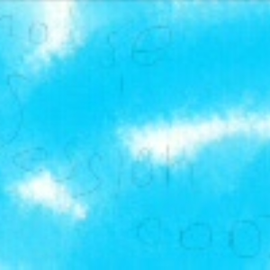 僕は樹　君は世界