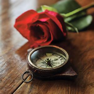 Love Compass