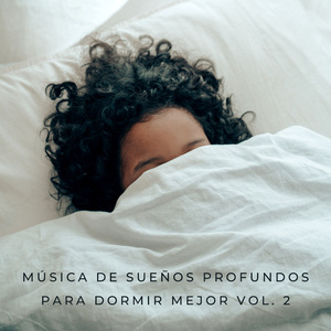 Tiempo De Mímicas