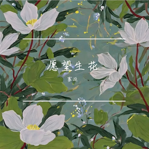 愿望生花