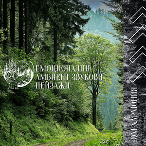 Музика На Атмосферата На New Age