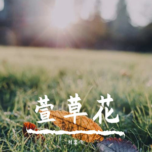 萱草花（翻自 张小斐）