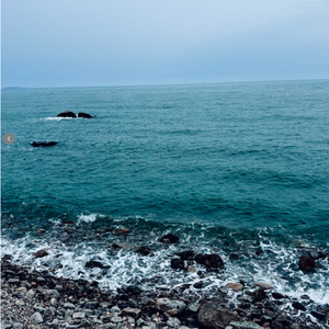 如果忧郁是一种天赋