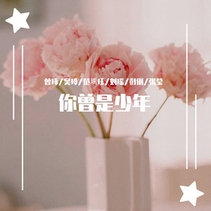 你曾是少年