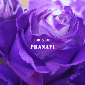 Om Namo Bhagavate Vasudevaya