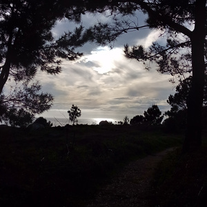 No era Noa (Acoustic Version)