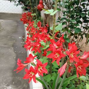 顺势而为一招鲜