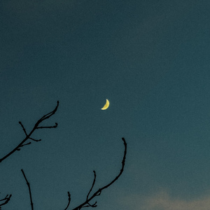 falling in the night