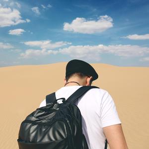 昨夜小楼又东风