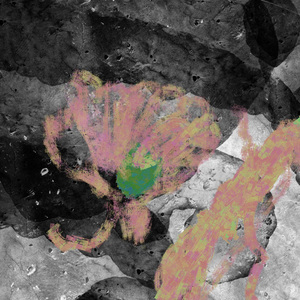 滥情陷阱trap ft.capes