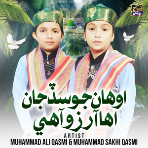 YE NAAZ YE ANDAZ HAMARE NAHI HOTE