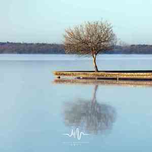 在梦中 (催眠曲)