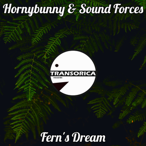 Fern's Dream (Original Mix)