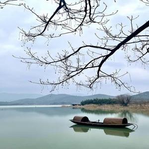 候鸟与季风 (Live)