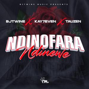 Ndinofara ndinewe