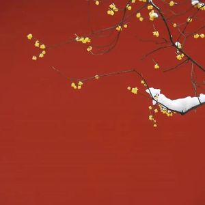 褪色的约定  (2)