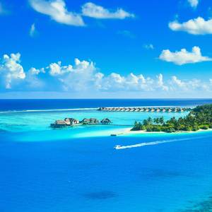 (THEY CAN’T OUTTAKE THE KING)