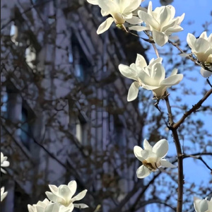 你像温柔雾让我迷路