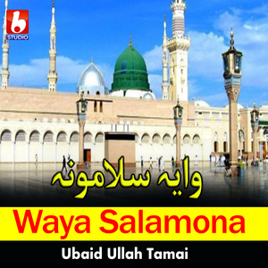 Waya Salamona