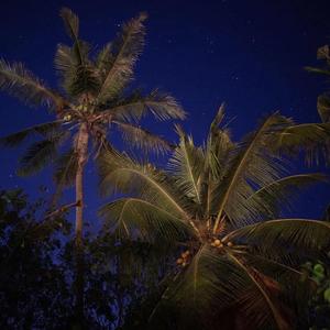 在海边（by the sea)