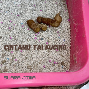 Cintamu Tai Kucing