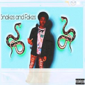 Snakes And Fakes