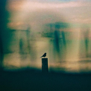 Uma Memória Perdida no Fundo do Quintal