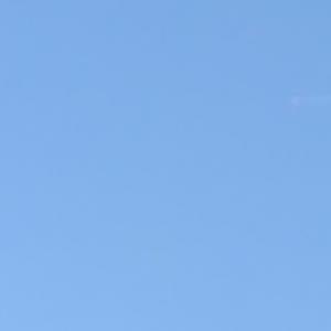 痛（prod.MORROW）