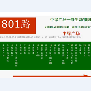 合肥801Buss Station