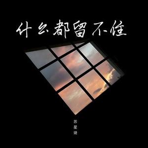 什么都留不住 (0.9x)