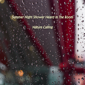 방안에서 듣는 여름밤 소나기
