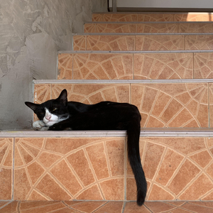 ไม่เป็นไรอีกกี่ครั้ง